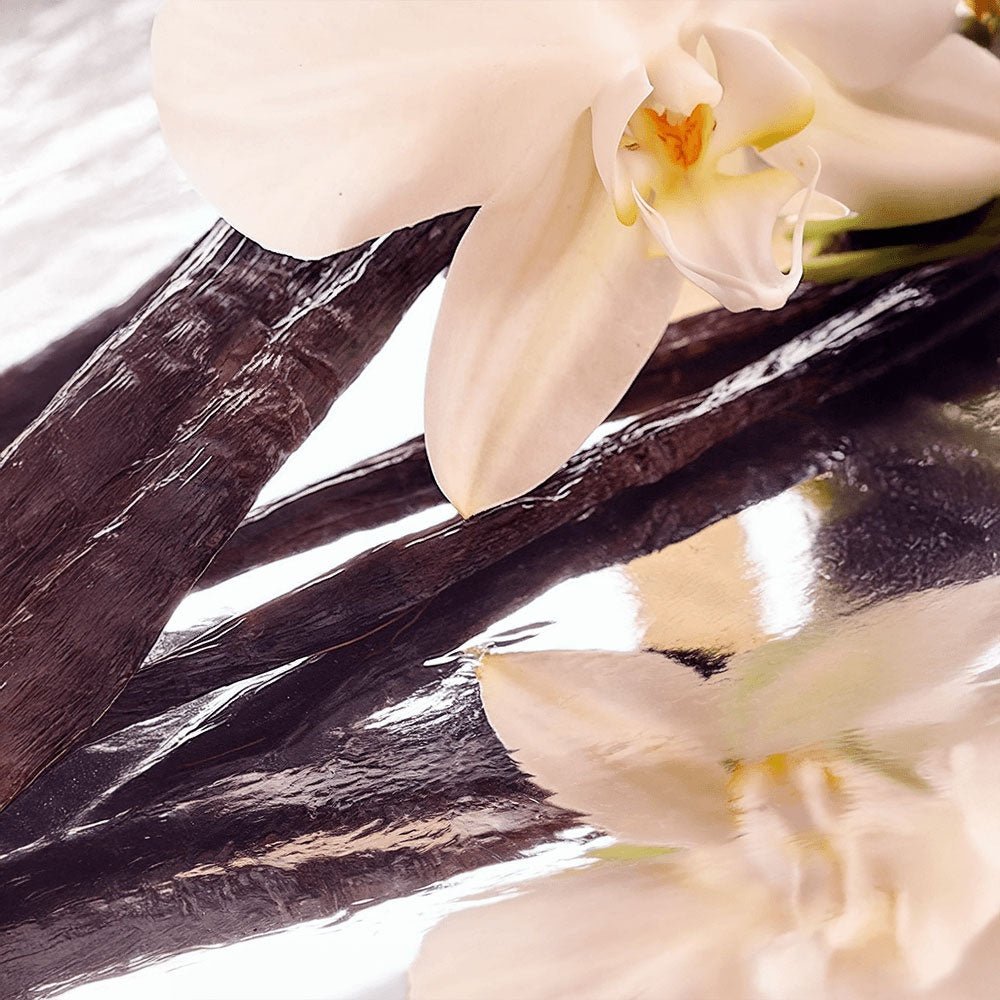 Whipped Grass - Fed Tallow Balm with Vanilla Bean - One Way Skin Care
