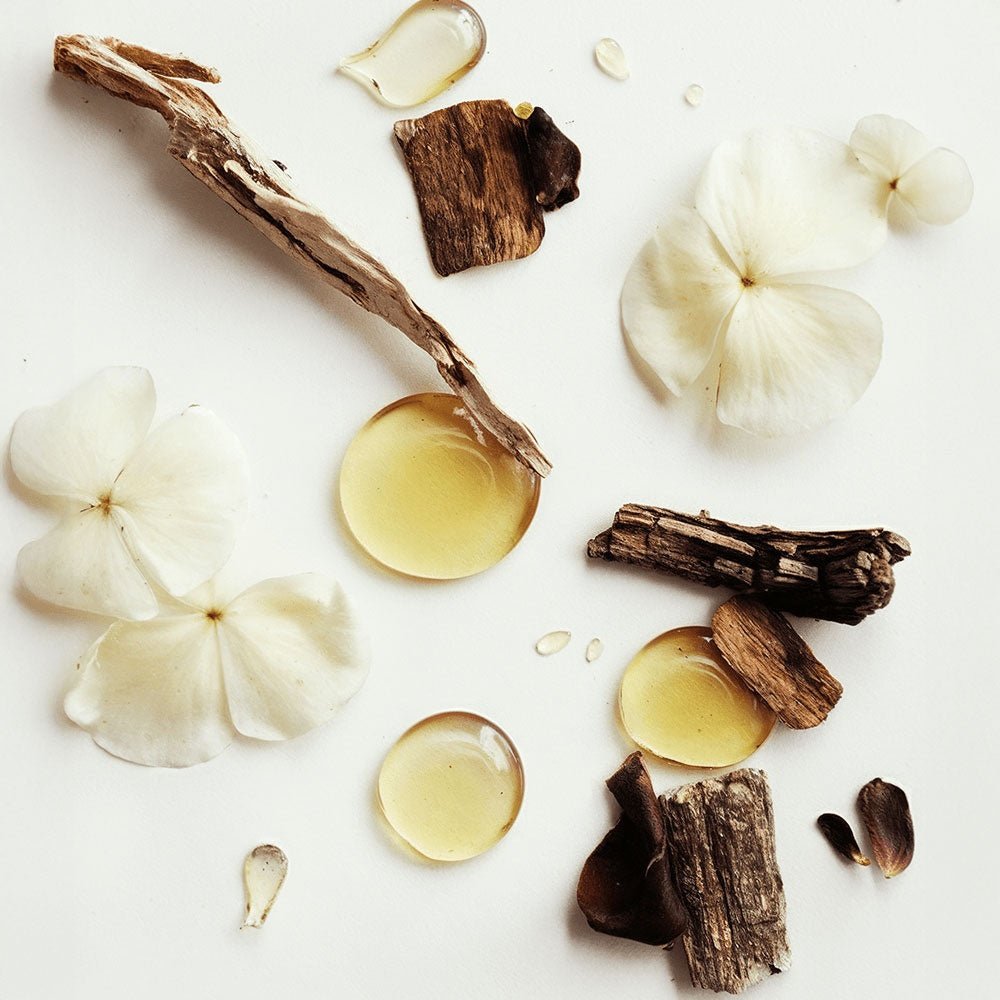 Whipped Grass - Fed Tallow Balm with Vanilla Bean - One Way Skin Care